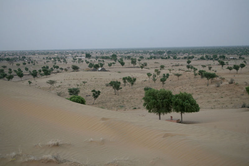 La Forêt des 29 - Le Pays de la Mort - Photo 4